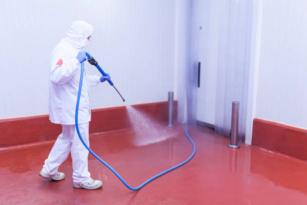 Best Soft Washing  in Marshfield, WI