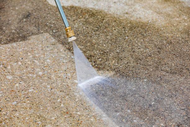 Best Pre-Holiday Cleaning  in Marshfield, WI